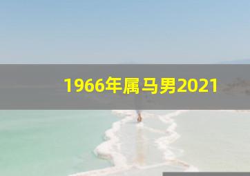 1966年属马男2021