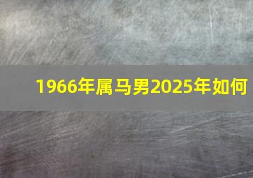 1966年属马男2025年如何