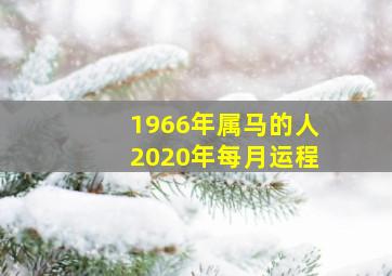 1966年属马的人2020年每月运程