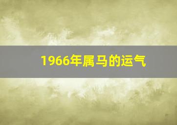 1966年属马的运气