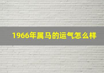 1966年属马的运气怎么样