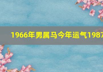 1966年男属马今年运气1987