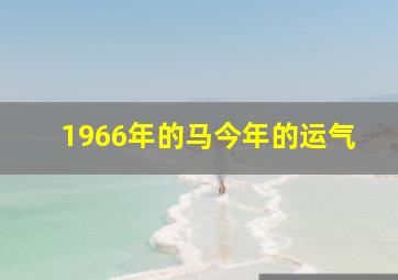 1966年的马今年的运气