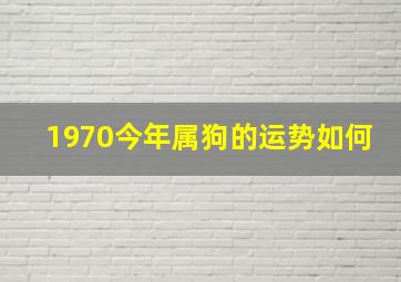 1970今年属狗的运势如何