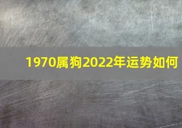 1970属狗2022年运势如何