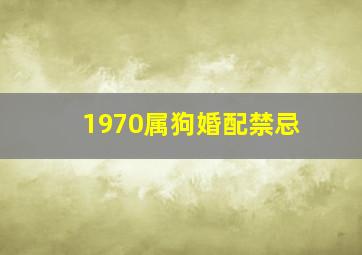 1970属狗婚配禁忌