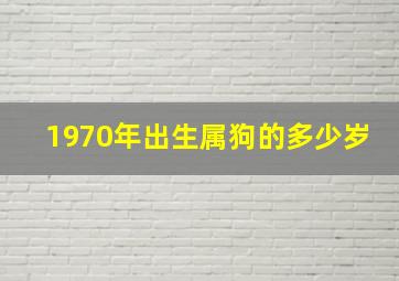 1970年出生属狗的多少岁