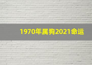 1970年属狗2021命运