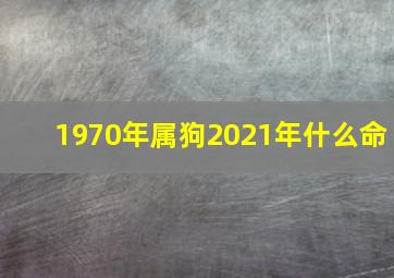 1970年属狗2021年什么命