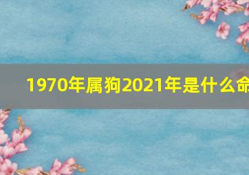 1970年属狗2021年是什么命