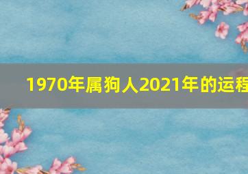 1970年属狗人2021年的运程