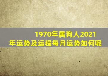 1970年属狗人2021年运势及运程每月运势如何呢