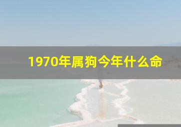 1970年属狗今年什么命