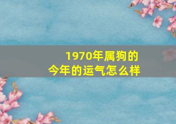 1970年属狗的今年的运气怎么样