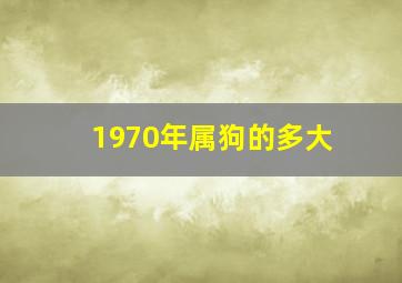 1970年属狗的多大