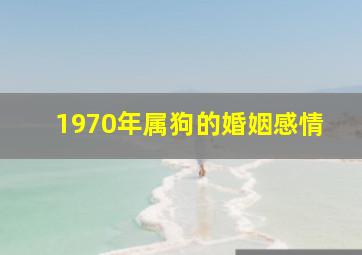 1970年属狗的婚姻感情