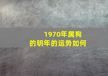 1970年属狗的明年的运势如何