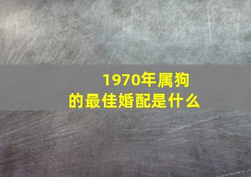 1970年属狗的最佳婚配是什么