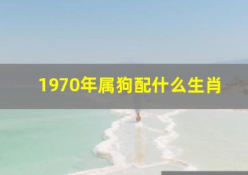 1970年属狗配什么生肖