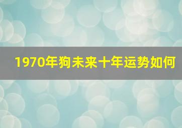 1970年狗未来十年运势如何