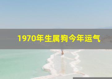 1970年生属狗今年运气