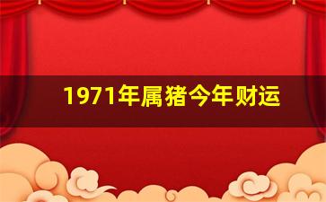 1971年属猪今年财运