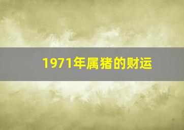 1971年属猪的财运