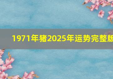 1971年猪2025年运势完整版