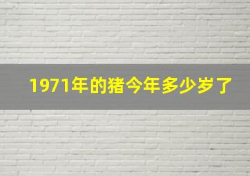 1971年的猪今年多少岁了