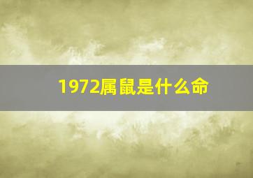 1972属鼠是什么命