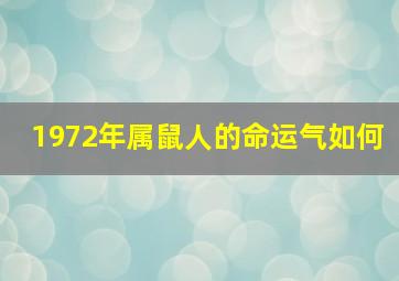 1972年属鼠人的命运气如何