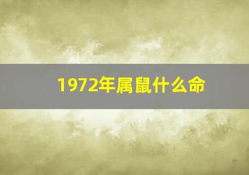 1972年属鼠什么命