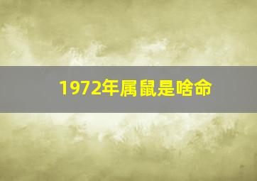 1972年属鼠是啥命