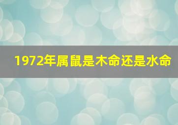 1972年属鼠是木命还是水命