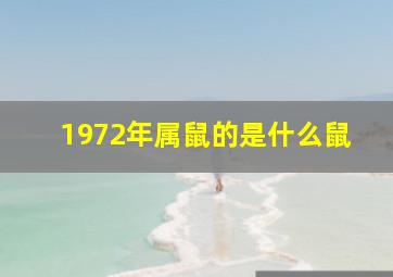 1972年属鼠的是什么鼠