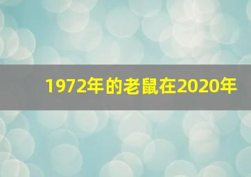 1972年的老鼠在2020年