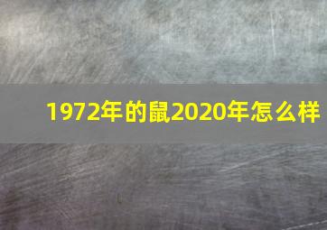 1972年的鼠2020年怎么样