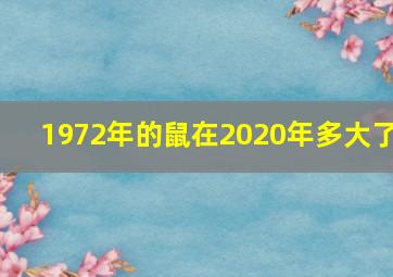 1972年的鼠在2020年多大了