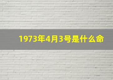 1973年4月3号是什么命