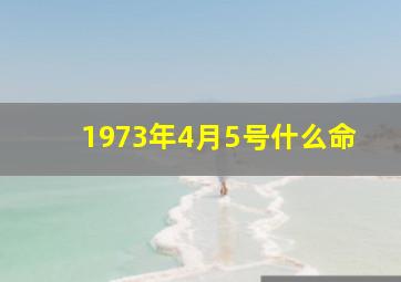 1973年4月5号什么命