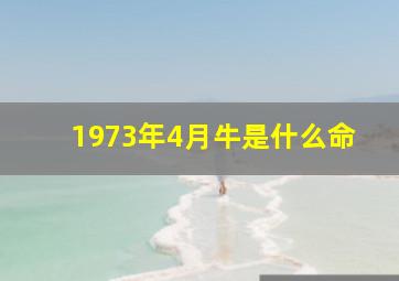 1973年4月牛是什么命