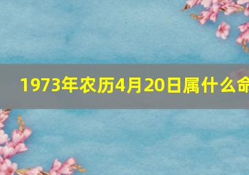 1973年农历4月20日属什么命