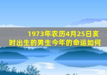 1973年农历4月25日亥时出生的男生今年的命运如何