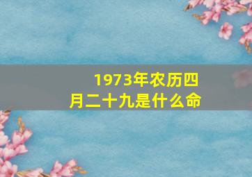 1973年农历四月二十九是什么命