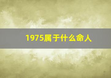 1975属于什么命人