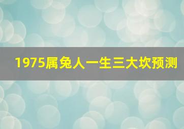 1975属兔人一生三大坎预测