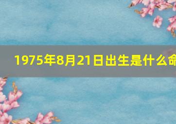 1975年8月21日出生是什么命