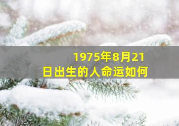 1975年8月21日出生的人命运如何