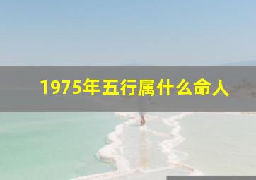 1975年五行属什么命人