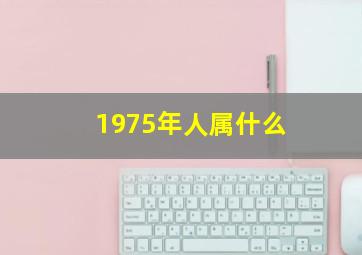 1975年人属什么